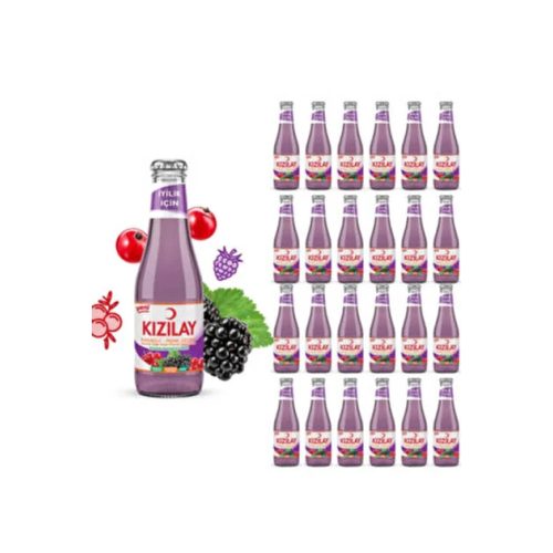 Kızılay Mineraalwater Guava 24x200 ml