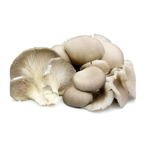 Champignons kg